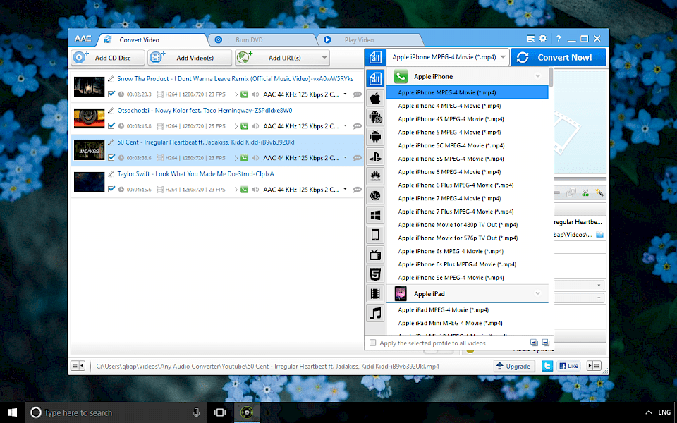 Screenshot of Any Audio Converter software running on Windows 10.