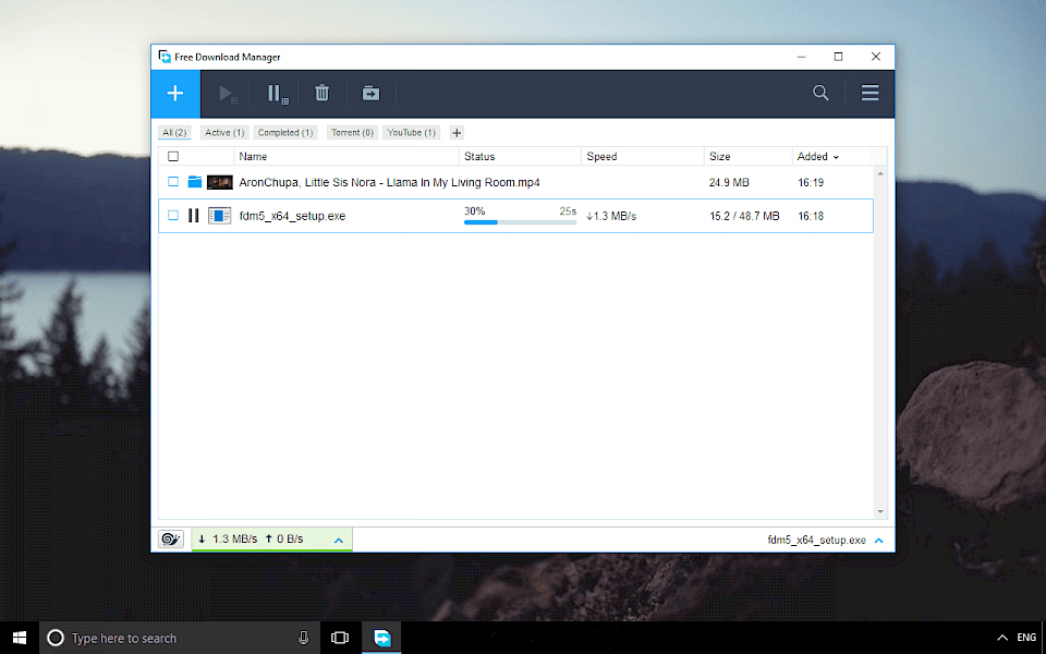 Screenshot of Free Download Manager software running on Windows 10.
