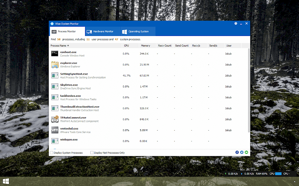 Screenshot of Wise System Monitor software running on Windows 10.