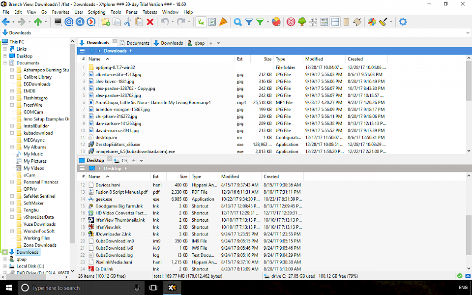 Screenshot of XYplorer Pro software running on Windows 10.
