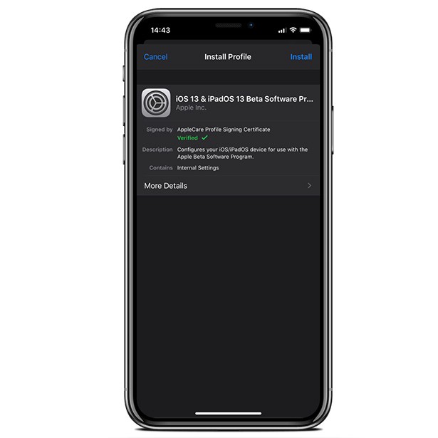 ios developer beta profile download