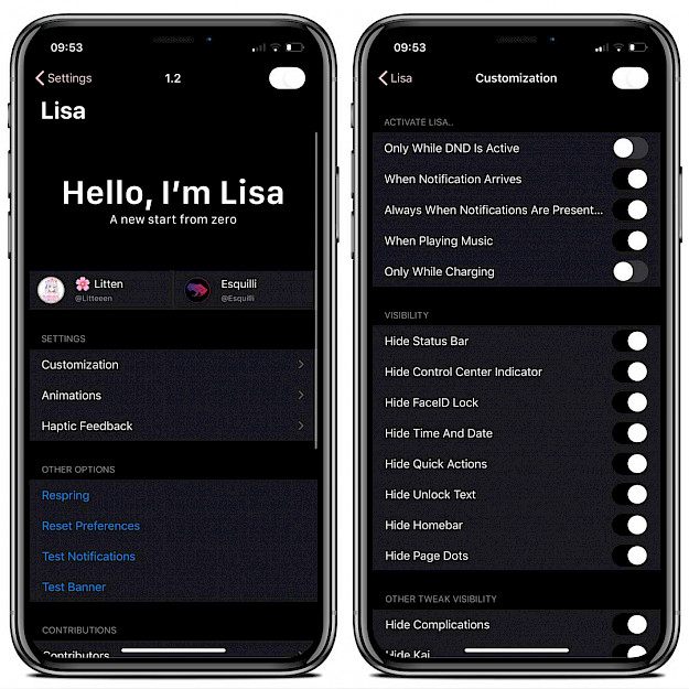 Lisa tweak settings