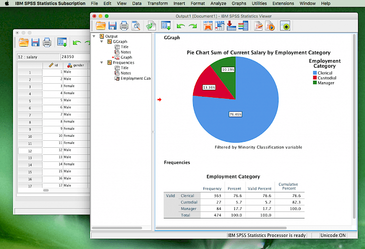 ibm spss statistics data editor