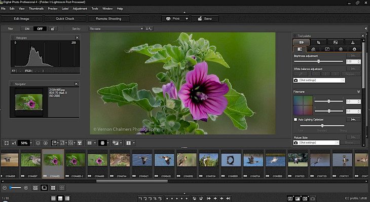 canon digital photo professional update download
