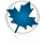 Maplesoft Maple logo