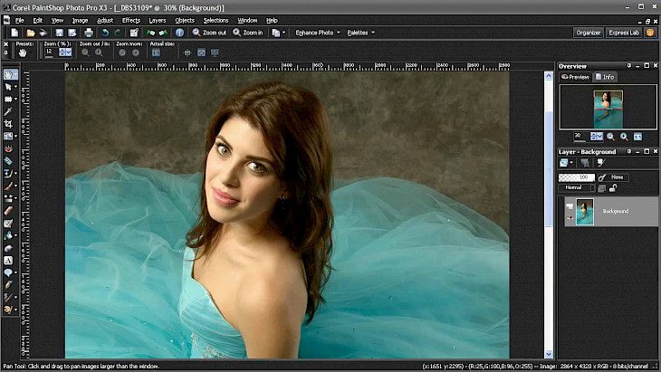 Corel PaintShop Pro X3