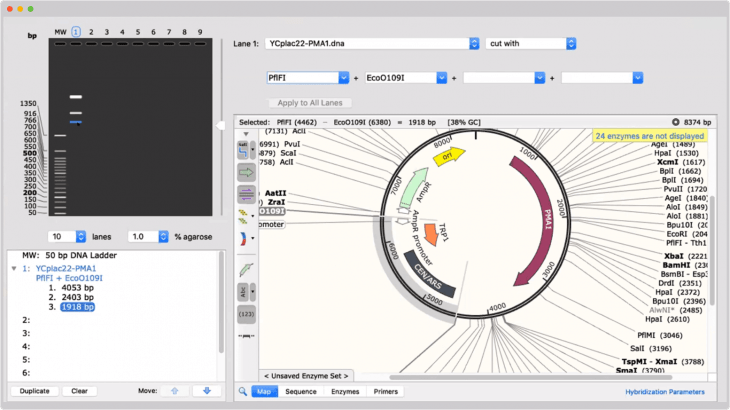 SnapGene