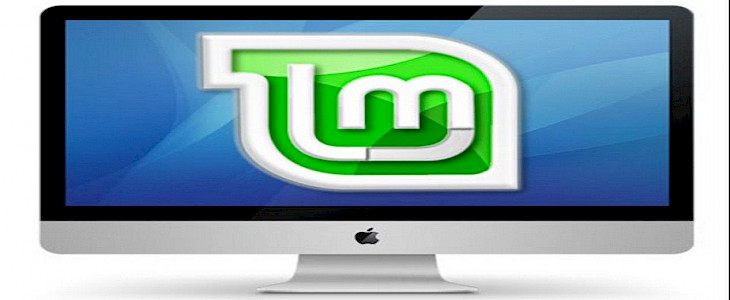 Setting up Linux Mint on a MacBook