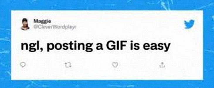 iOS: How to create customized Gifs suing the Twitter app